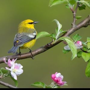 Meet your Posher, Leah